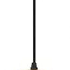 FEMILA Pendant Light, 1-Light Metal Cage Mini Hanging Lighting Fixture, Black and Gold Finish, 4FY49M1L MAT BK+BG