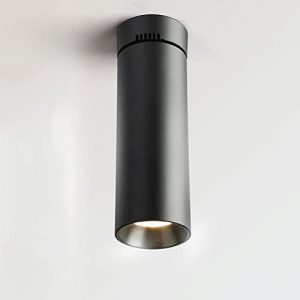 BXINZQ Modern 15W 20W 30W Adjustable 360° Downlight Indoor Ceiling Lamp Wall Lamp Surface Mounted LED Spotlight Adjustable Down Light COB LED Spotlight Shop Background Wall Spot Lamp