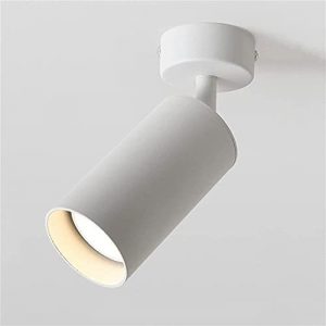 Minimalist Design Wall-mounted Lamp Adjustable Spotlight, Surface Mounted Ceiling Lights, White Swiveling Spots, Round Accent Lamp, Aluminum Lighting Fixture For Living Room, Bedroom, GU10 (Color : Bl