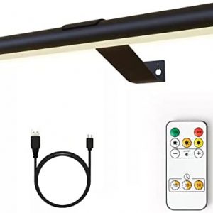 Arixinks Rechargeable Picture Light Battery Operated, Painting Light Wireless with Remote Control 3 Lighting ,Art Light Display Lamp 300LM Dimmable and Timer Set, Full Metal Light for Picture Painting