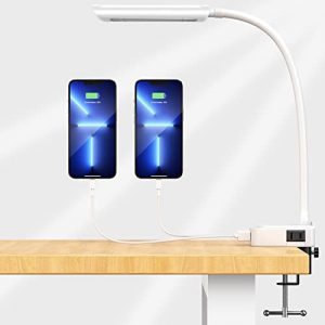 Desk lamp with USB Charging Ports,Aepto LED Reading Light with Clamp, 2 USB Charger & 2 Outlets, 3000-6000K,3-Level Dimmable, Gooseneck Small Clip on Table Lamp for Home,Office,Book,Nail,Work,Dorm
