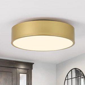 POLITAMP Modern Gold Flush Mount Ceiling Light Fixture,Contemporary 2-Light Ceiling Lights with White Acrylic Shade for Hallway Foyer Bedroom Living Room Kitchen(11.8″)