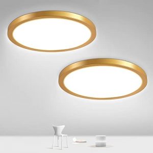9 Inch 18W LED Flush Mount Ceiling Light Fixture, Gold 5000K Daylight White Modern Round Lighting Fixture, LED Ultra Thin Flat Pannel Lighting for Closet, Child Room, Porch, Hallway, Stairwell, 2Pack