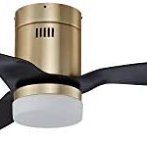 SMAAIR 52 Inch Smart Ceiling Fan with Lights and 10-speed DC Motor, Works with Remote Control/Alexa/Google Home/Siri, Dimmable LED Light (Gold/Black)