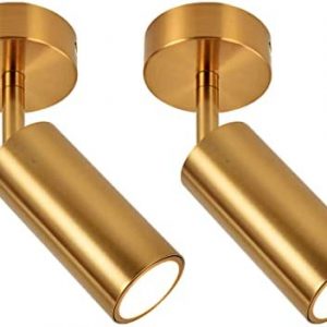 Meng Lai Dimmable Track Lighting Ceiling Spot Light 2 Pack ,Ceiling Spotlights Indoor Angle Adjustment Modern Wall Lamp for Living Room, Gallery, Cabinet, Hallway, Bedroom ,7w (Copper housing 4000k)
