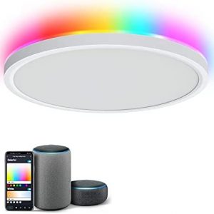 Smart Ceiling Light Fixture 12Inch – 24W Smart Led Ceiling Light Ultra Thin Color Changing RGB Ceiling Light – app Control 2400lm 3000K-6500K Dimmable – 2.4GHzWi-Fi Compatible with Alexa Google Home