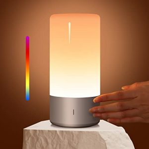 Touch Lamp,Warm White Dimmable Table lamp,RGB Touch Bedside Lamp,Night Light for Living Room and Bedroom Nightand