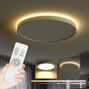 Flush Mount Ceiling Light Fixture with Remote Control, with 3000K Warm Nightlight, 12inch 24W +4W Round Panel Light, 3000K-6500K Light Color Changeable, Brightness(10% to 100%) Adjustable
