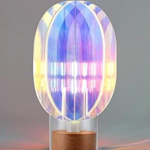 Table Lamps Decorative and Modern Table Lamps for Living Room Bedroom Bedside Tabletop Entryway Gift E12 Bulb Included 3D Dry