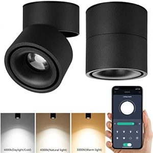 LED Dimmable Ceiling Art Spotlight – 360°Adjustable Indoor Surface Mounted 10W COB Lighting -Stepless Dimming Warm Light 3000K to Cool White 6000K Ceiling Downlight-Wall Swivel Lamp (Black)