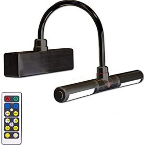 BIGLIGHT Wireless Battery Operated LED Picture Light with Remote, Rotatable Light Heads of 3 Lighting Modes, Dimmable Display Lamp with Timer for Painting Photo Portrait Art, 8.8″, Black