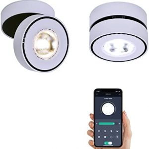 Dimmable Art Ceiling Spot Light LED – 360° Adjustable Surface Mounted Dimming 12W COB Lighting Indoor Ceiling Downlight Aluminum Wall Spot Light for Bedrooms Rooms Corridors Gallery Display (White)