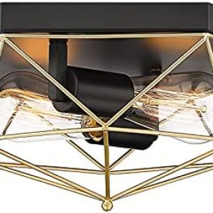 Audickic Industrial Flush Mount Ceiling Light, 2-Light Farmhouse Close to Ceiling Lighting Fixtures, Gold Metal Cage Ceiling Lamp for Kitchen Bedroom Hallway Foyer Entryway, AD-2113-2C