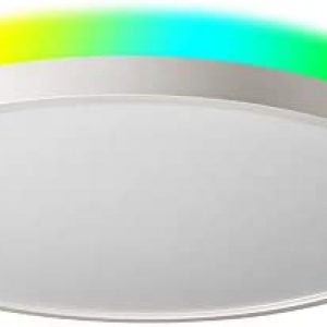 Taloya Smart Ceiling Light Flush Mount LED WiFi, Compatible with Alexa Google Home, Dimmable Low Profile Ambient Light Fixture for Bedroom Living Room,12 Inch 24W