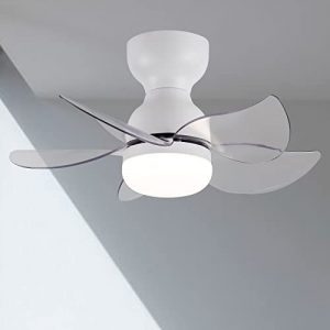 DIDER 24” Flush Mount Ceiling Fan with Lights and Remote Control, 5 Blades, Low Profile Ceiling Fan for Indoor and Outdoor Space.