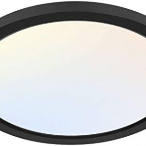 13 Inch LED Round Flat Panel Light, 24W 2400lm 3000K/4000K/5000K CCT Selectable, Dimmable Edge-Lit Flush Mount LED Ceiling Light for Kitchen, Bedroom, Laundry and Closet Room, Black