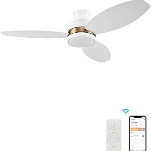48″ Low Profile Ceiling Fan with Light, Indoor & Outdoor Ceiling Fan with 10-Speed Quiet DC Motor, Smart Ceiling Fan Controlled by APP, Remote, Google Home, Alexa and Siri Shortcut, Modern Ceiling Fan