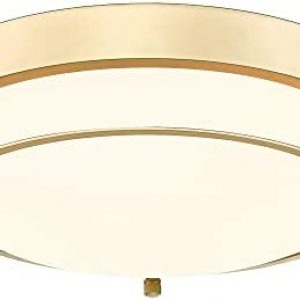 Cargifak Flush Mount Light Fixture, 12 inch 2-Light Modern Ceiling Light with Brass Gold Finish for Hallway Kitchen Laundry Bedroom, 4822-BB