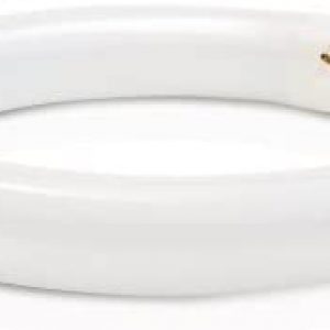 Philips 392357 Circline Fluorescent 22-Watt 8-Inch T9 Daylight Deluxe Light Bulb