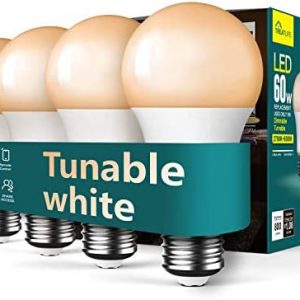 Smart Light Bulbs, TREATLIFE WiFi LED Light Bulb, Dimmable Smart Bulb Works with Alexa, Google Home, SmartThings, Warm White& Cool White(2700K-6500K), 2.4Ghz, 800LM, E26, A19, 9W, No Hub Required