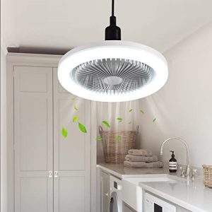 10 In Small Lights Bulb with Fan LED 30W Ceiling Fan with Lights E26 Screw Base Enclosed Ceiling Fan with Lights Low Profile Ceiling Light Fan for Kitchen Garage RV Basement Socket Fan Light,6500K