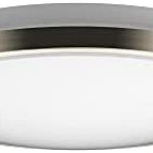 LED Ceiling Light Flush Mount Brush Nickel | Dimmable | Ring | 3000K/4000K (10 inches, 4000K Natural Daylight)
