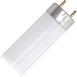 Philips Lighting 281659 T8 Fluorescent Lamp 32 Watt 2-Pin G13 Base 2950 Lumens 85 CRI 3000K 48 Inch Length Alto Plus