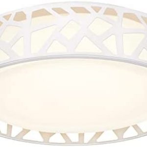 VICNIE Flush Mount Light Fixture, 12 inch 15W 1100 Lumens LED Ceiling Lights, Dimmable 3000K Warm White, ETL Listed for Kitchen, Hallway, Bedroom, Stairways (Metal Body and Acrylic Shade)