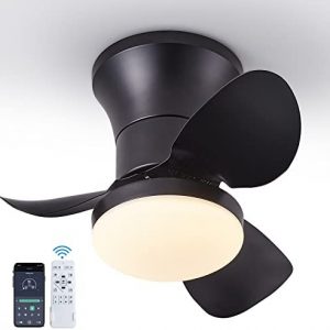 EMIKIRII 21″ Ceiling Fan with Lights and Remote, Smart APP Control, Metal Blades, Adjustable Brightness and Color Temperature, Flush Mount, Quiet, Suitable for Bedroom, Living Room(Matte Black)