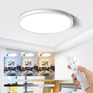 inSharePlus 12inch Dimmable LED Ceiling Light Fixture, 24W(240W Equiv) Ultra Thin, Flush Mount Ceiling Lights with Remote Control, 2800K-6500K Color Changeable, Modern Ceiling Lamp for Office, Bedroom