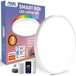 Smart RGB Flush Mount Ceiling Light, 12inch 24W 2880lm Low Profile Ambient Light Fixture, Dimmable 3000K-6500K Modern Round LED Ceiling Light Compatible with Alexa, Google, Remote Control for Bedroom