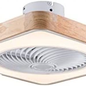 LiFuJunDong Enclosed Acrylic Ceiling Fan with Light, White Simple Wind Fan with Mute Motor, 3 Gears Speed Dimmable LED Light, Remote Control for Living Room Dining Room Bedroom, 22In