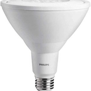 Philips 470062 90W Equivalent Daylight Classic Glass Par38