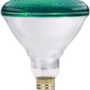 Philips 385302 – 100PAR/1/G 6/1 Colored Flood Light Bulb