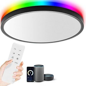 TALOYA Smart Ceiling Light, Black Led Flush Mount Ceiling Light Alexa Google Home Round Light, 15.8 Inch Light Fixtures Ceiling Mount 28W White Front/RGB Back Round Light for Bedroom, ETL Listed