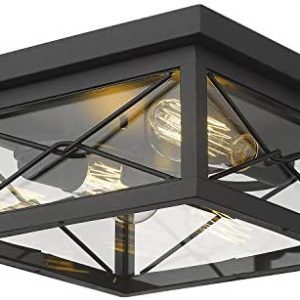 Emliviar 12 Inch Ceiling Light Fixture, 2-Light Flush Mount Ceiling Light in Black Finish, 0387B-CL BK