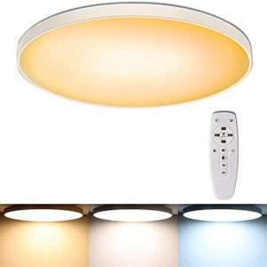 Flush Mount LED Ceiling Light with Remote Control, 24W 12Inch 2700-6500K Color Temperature Adjustable Brightness Dimmable Ceiling Lighting Fixture with Night Light for Kitchen Bedroom Livingroom