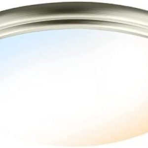 OREiN LED Ceiling Light, Brushed Nickel Flush Mount LED Light Fixture for Luandry Room Hallway Bedroom Kitchen, 12 inch 5 Color Temperatures in One 2700K/3000K/3500K/4000K/5000K Adjustable