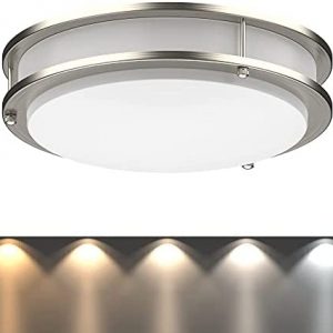 LED Flush Mount Ceiling Light | Dimmable | Brushed Nickel | Double Ring | Round (10 inches, Adjustable Light Color)