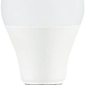 FEIT 100w LED Replacement Bulbs using 15W Daylight 5000K 1600 Lumens (10 Lamps)