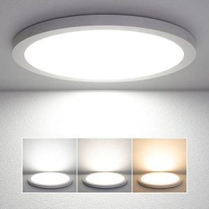 2-Pack 24W LED Flush Mount Ceiling Light Fixture, 12 Inch 2100LM Modern Close to Ceiling Light, 3000K/4000K/5000K Dimmable Ultra-Thin Flat Round Indoor Lighting Lamp for Bedroom Kitchen Bathroom