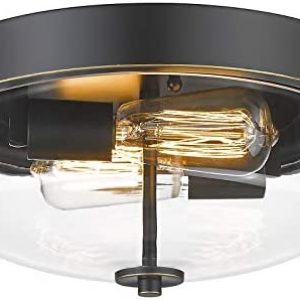Emliviar Ceiling Light Fixture with Clear Glass Shade – Indoor Outdoor Flush Mount Ceiling Light 12 Inch, Black Finish, TE217F ROB