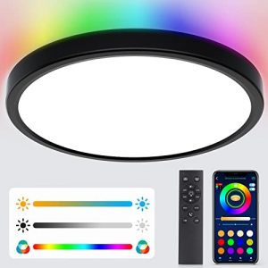 KEPLUG Flush Mount Ceiling Light,24W RGB Ceiling Light Fixture with Remote Control Bluetooth App,Dimmable Led Ceiling Light 3000K-6500K,12Inch Round Close to Ceiling Lights Bedroom Kitchen Hallway
