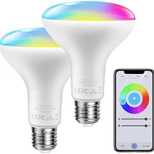 Smart Light Bulbs, RGB Color Changing Alexa Bulbs, 13W 1300LM (120W Equivalent), 2900~6000K, E26 A19 Light Bulbs with Remote App Control, Dimmable, Compatible with Alexa/Google, 2pack