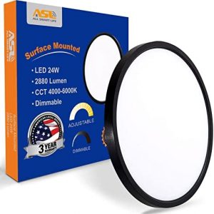 LED Flush Mount Ceiling Light Fixture, Black 1-Pack 24W 12inch 2880lm CCT 3000K/4000K/6500K Thin Round Flat Panel Light Surface Mount for Bedroom, Kitchen, Bathroom. Dimmable Ceiling Lamp